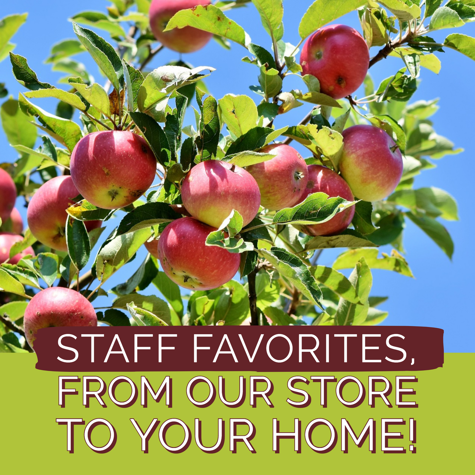 Staff Picks: Honey and Apple Set Roundup
