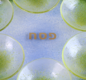 Seder Plate, Springtime Floral, Hand Cut and Kiln Formed Glass, One of a Kind Piece