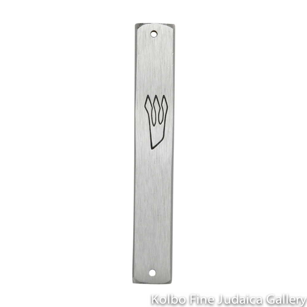 Mezuzah, Plain Silver With Black Shin, Aluminum