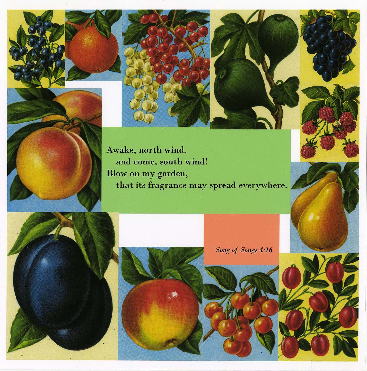 Garden, Archival Inkjet Framed Print