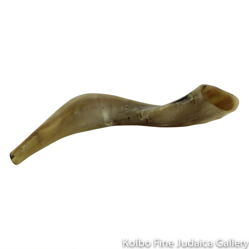 Shofars Kolbo Fine Judaica Gallery