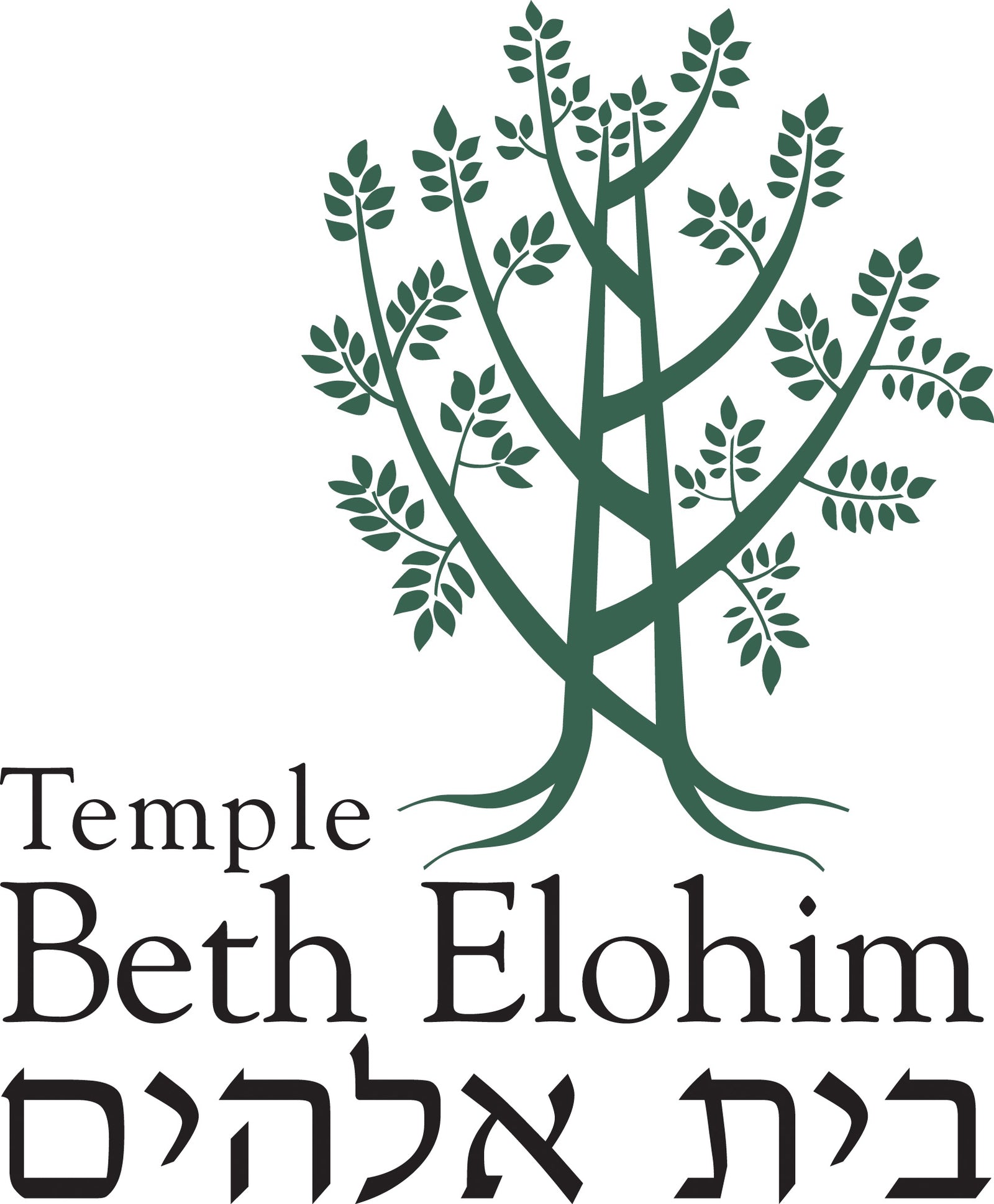 Institutional Partnership - Temple Beth Elohim, Wellesley