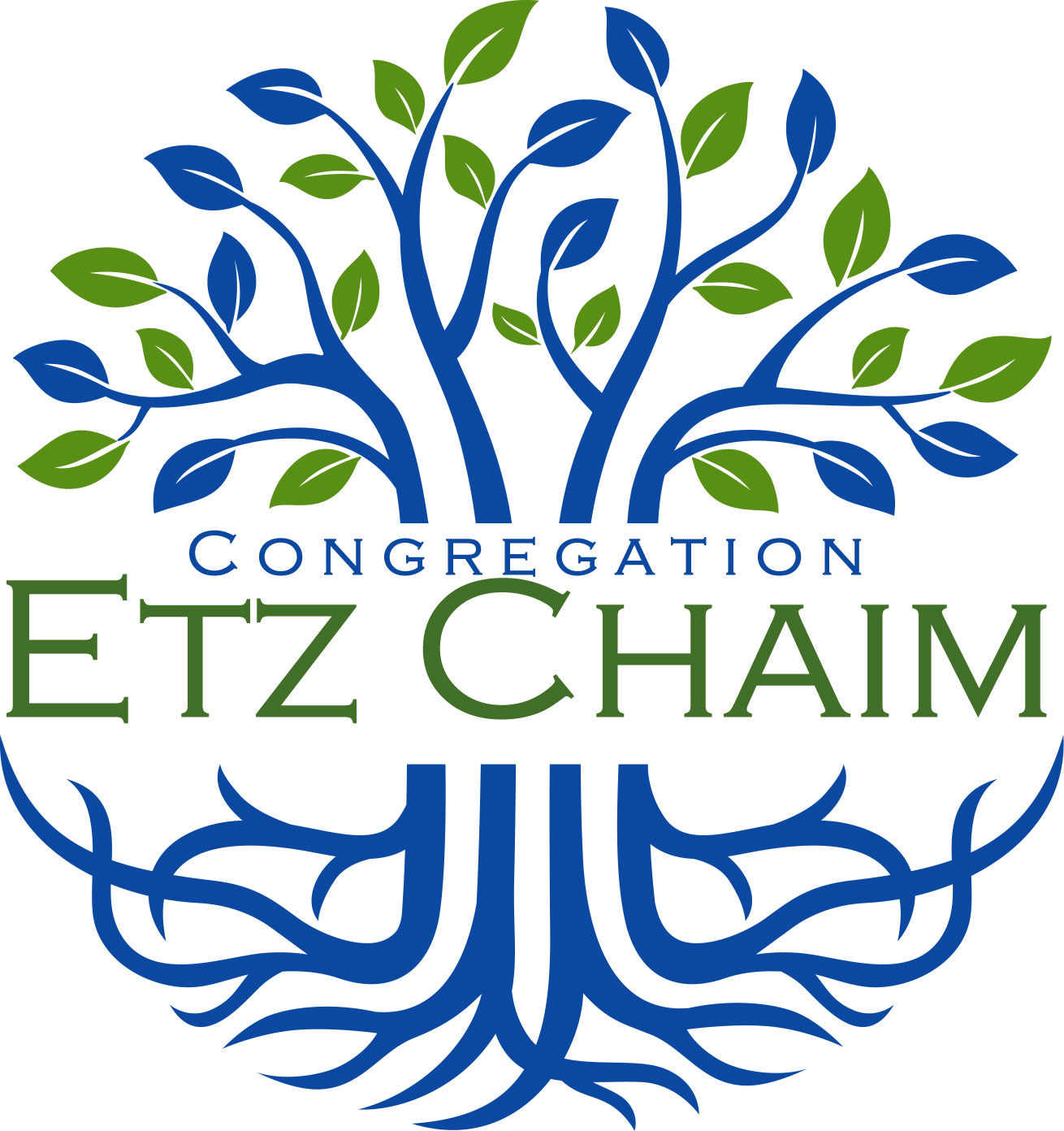 Institutional Partnership - Congregation Etz Chaim Illinois